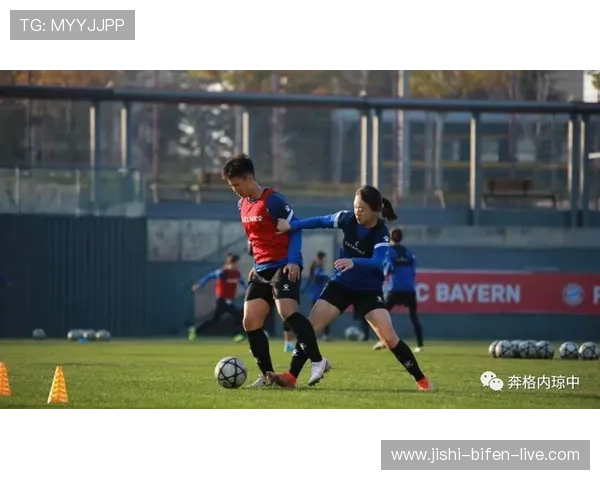 足球内幕波胆平台对比评测避坑防骗指南